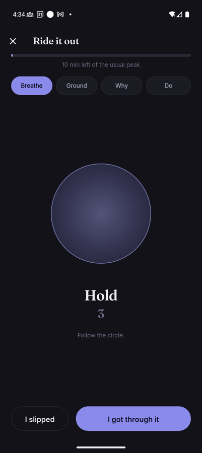 The panic screen, showing a breathing circle mid-exercise with a countdown and a ten-minute ride-out timer.